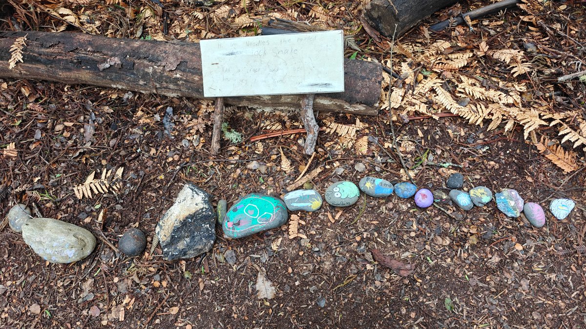 Painted pebbles lined along a log