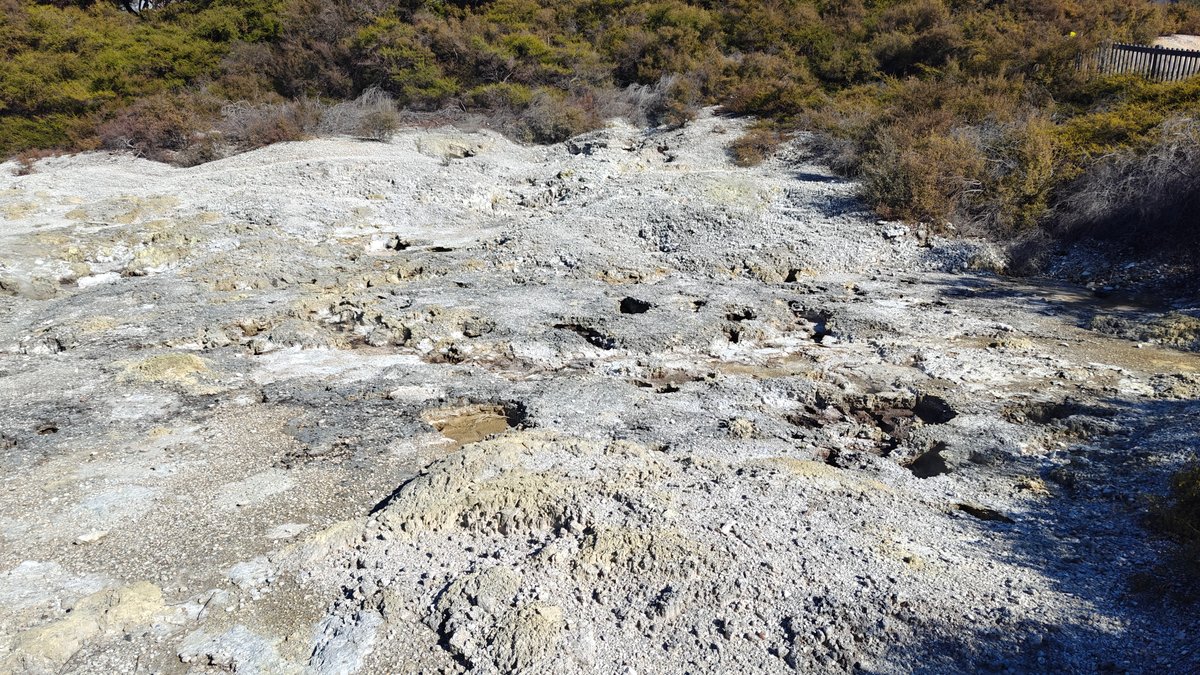Pale sinter ground with scrub and steam drifting