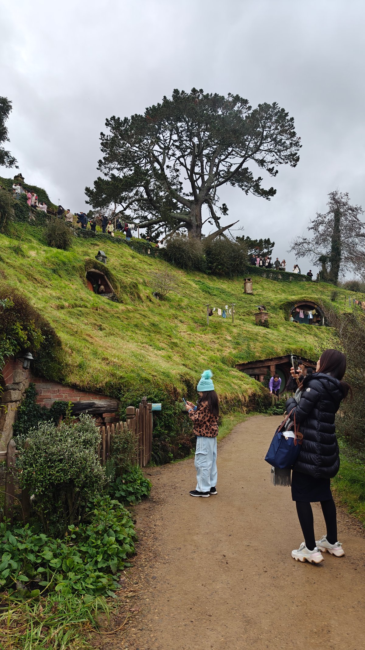 Path beneath the hobbit-hole hillside