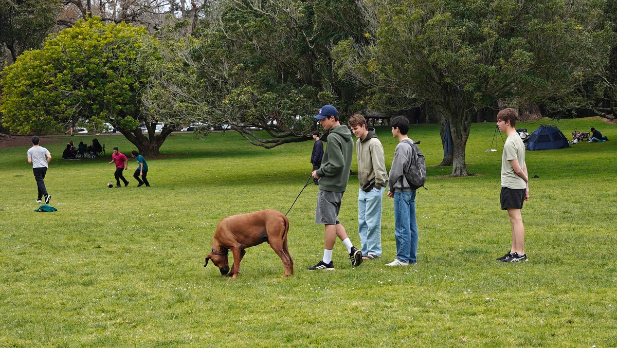 People and dog on the lawn
