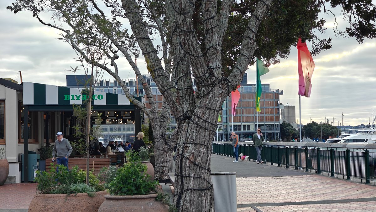 Promenade flags and restaurant frontages