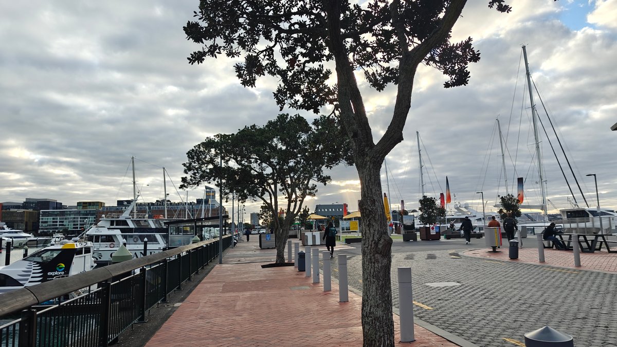 Promenade trees and moored boats