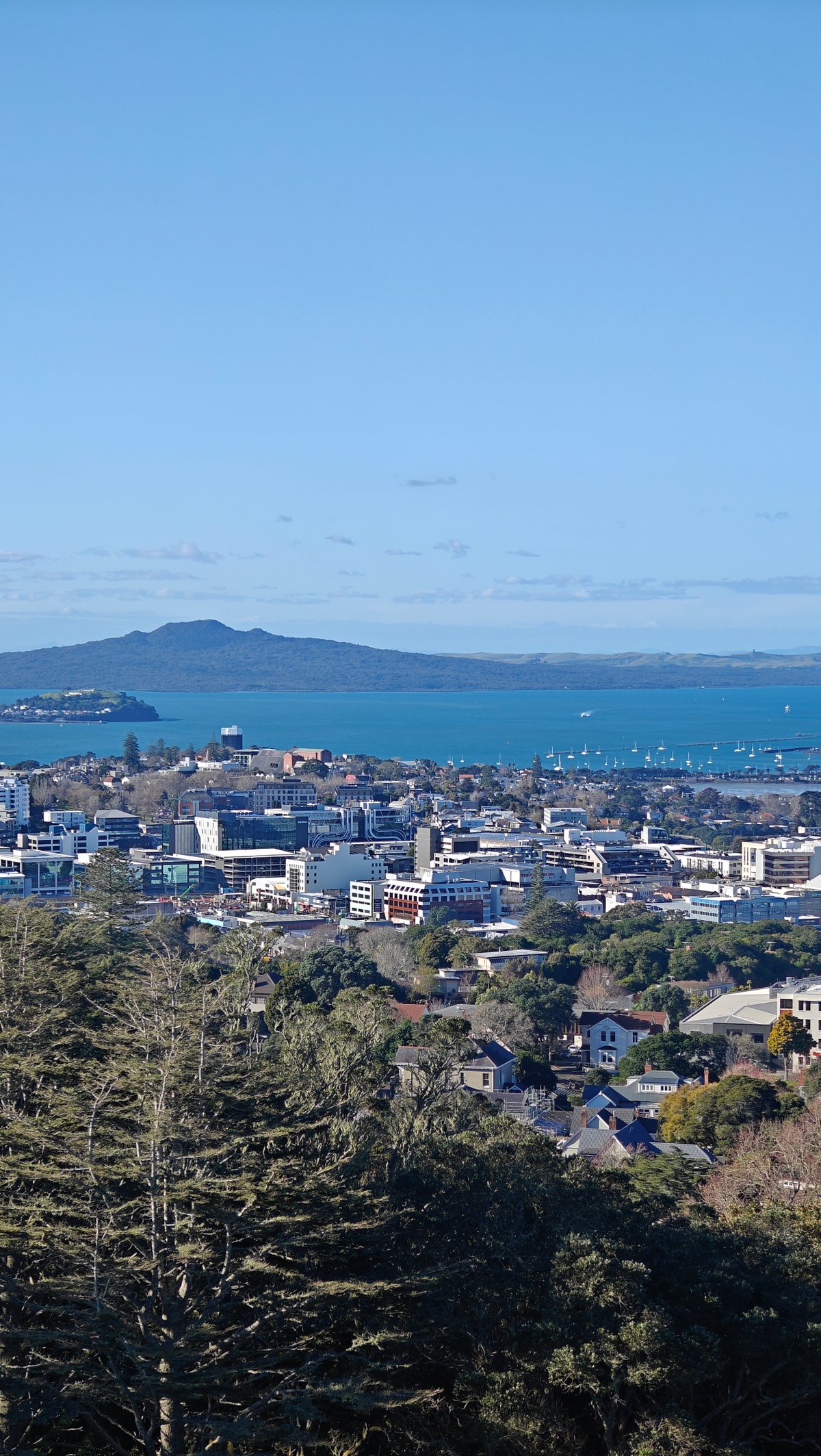 Rangitoto across the harbour horizon