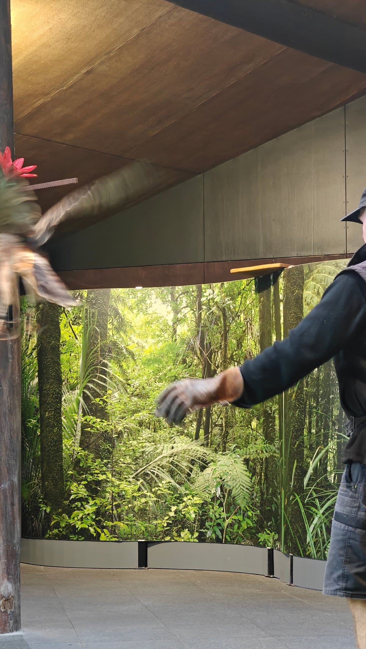 Raptor lifting off the glove
