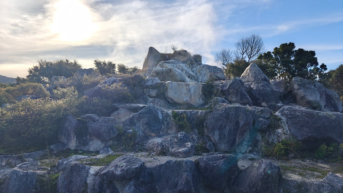 Rocky mound steaming among trees