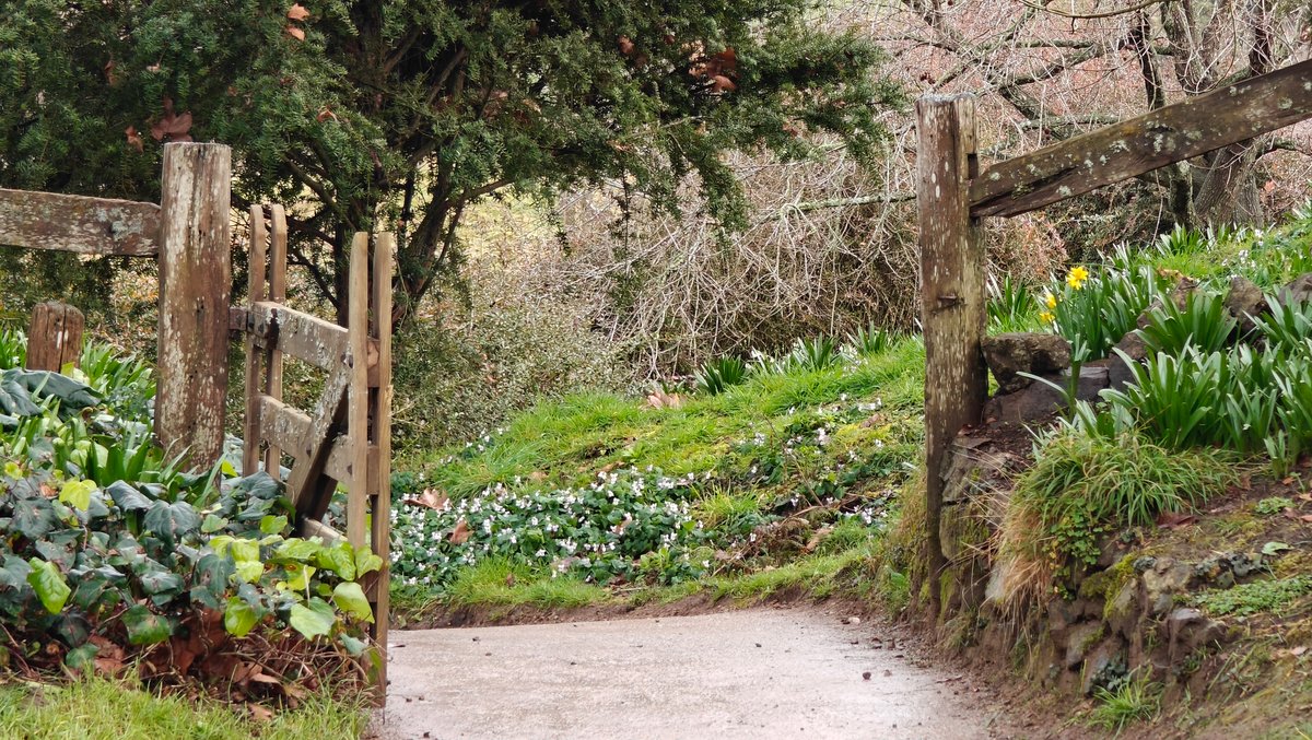 Rustic vegetable gardens of Hobbiton