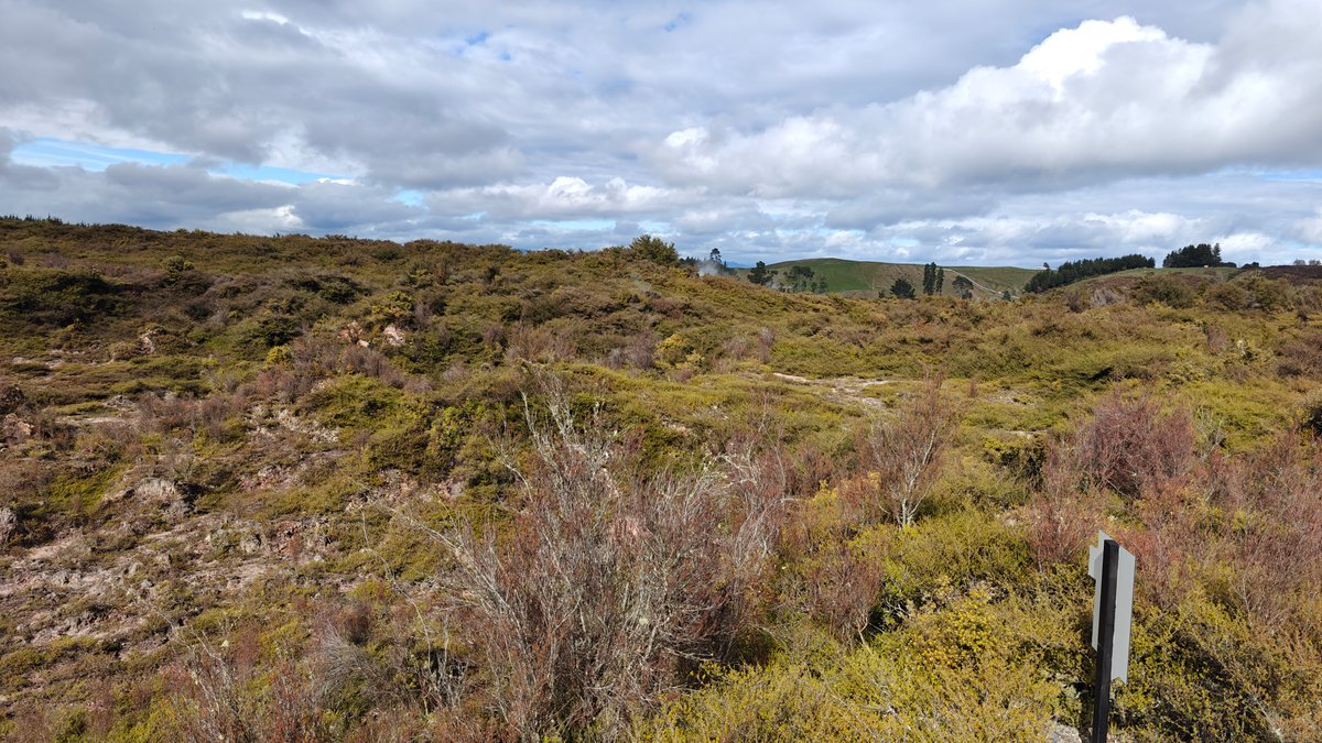 Scrubland with steam rising under a bank of