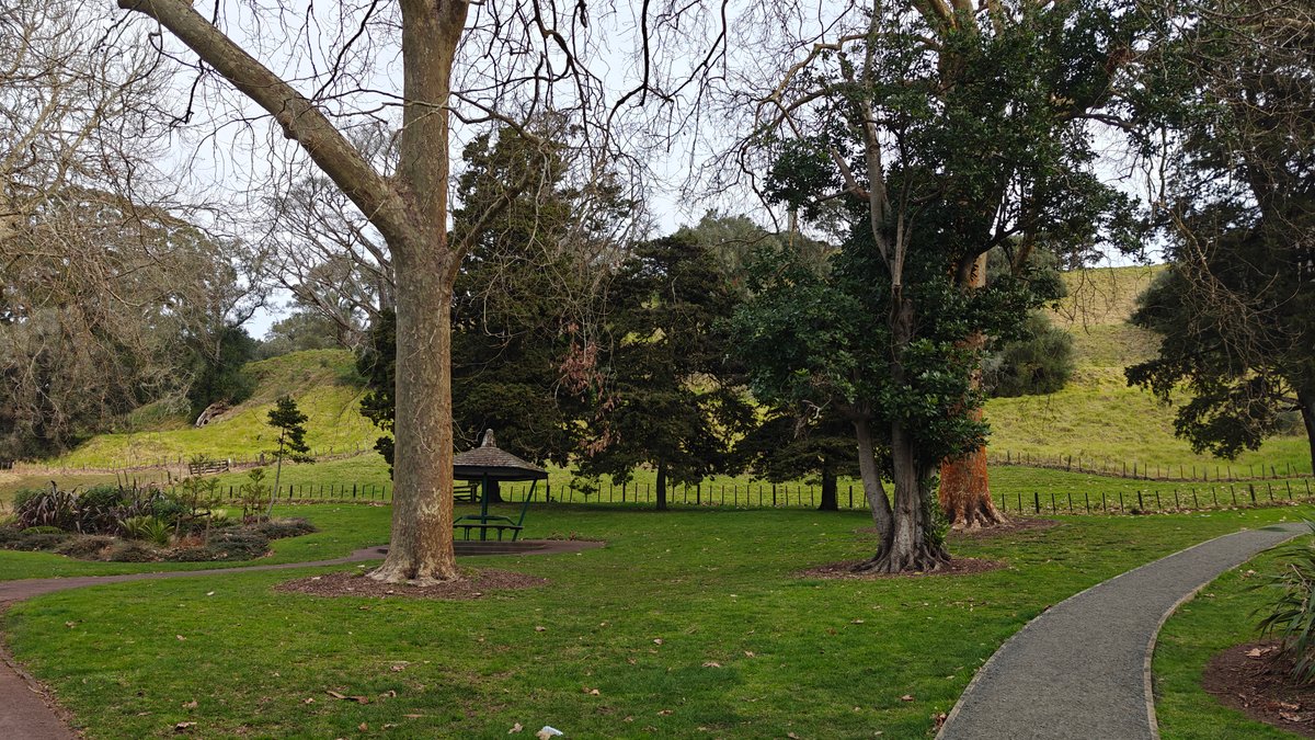 Sealed path winding through parkland
