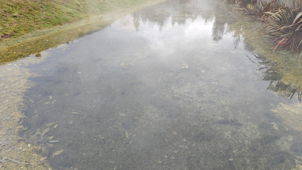 Shallow pool reflecting the sky