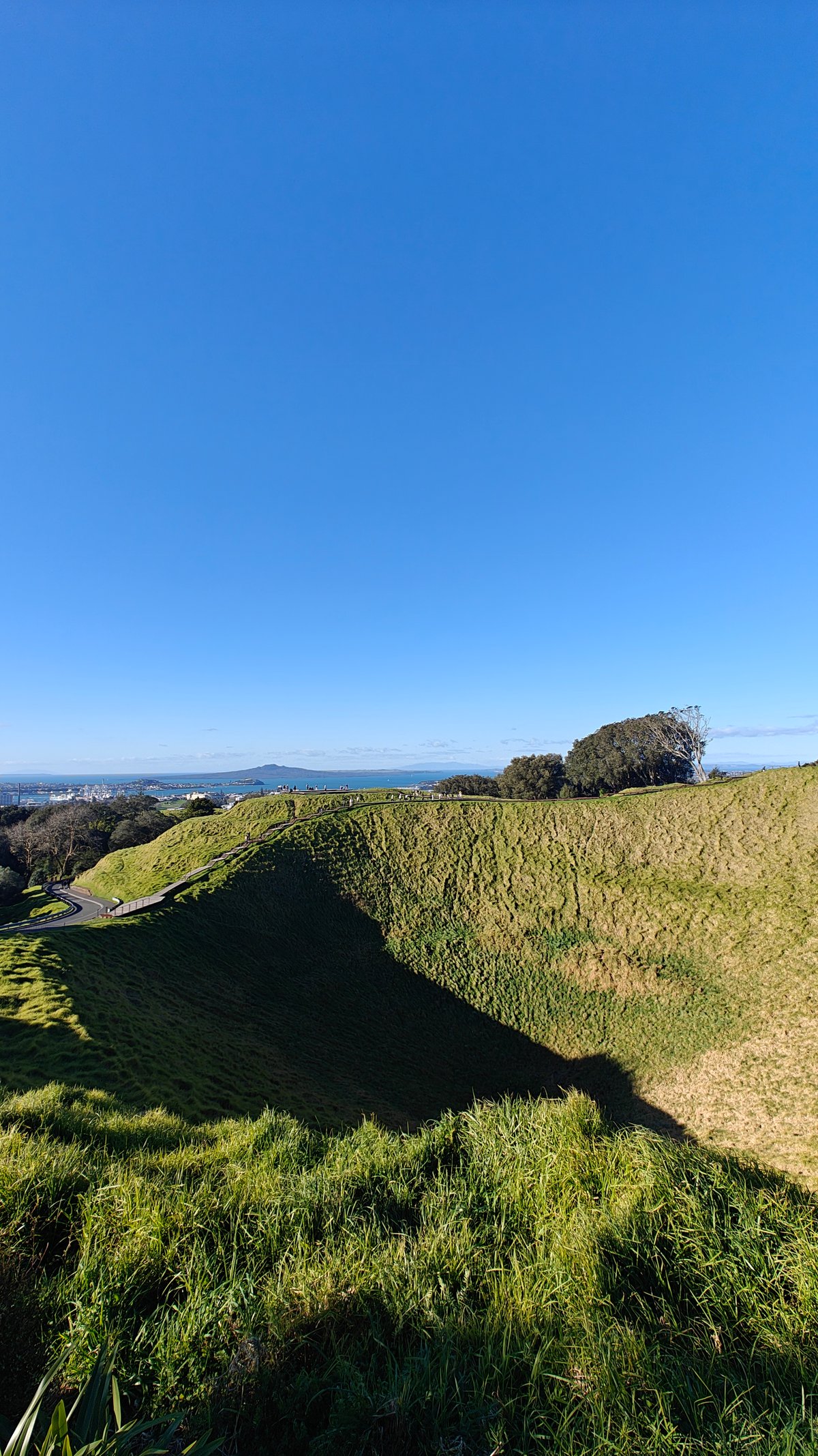 Single tree on the crater rim