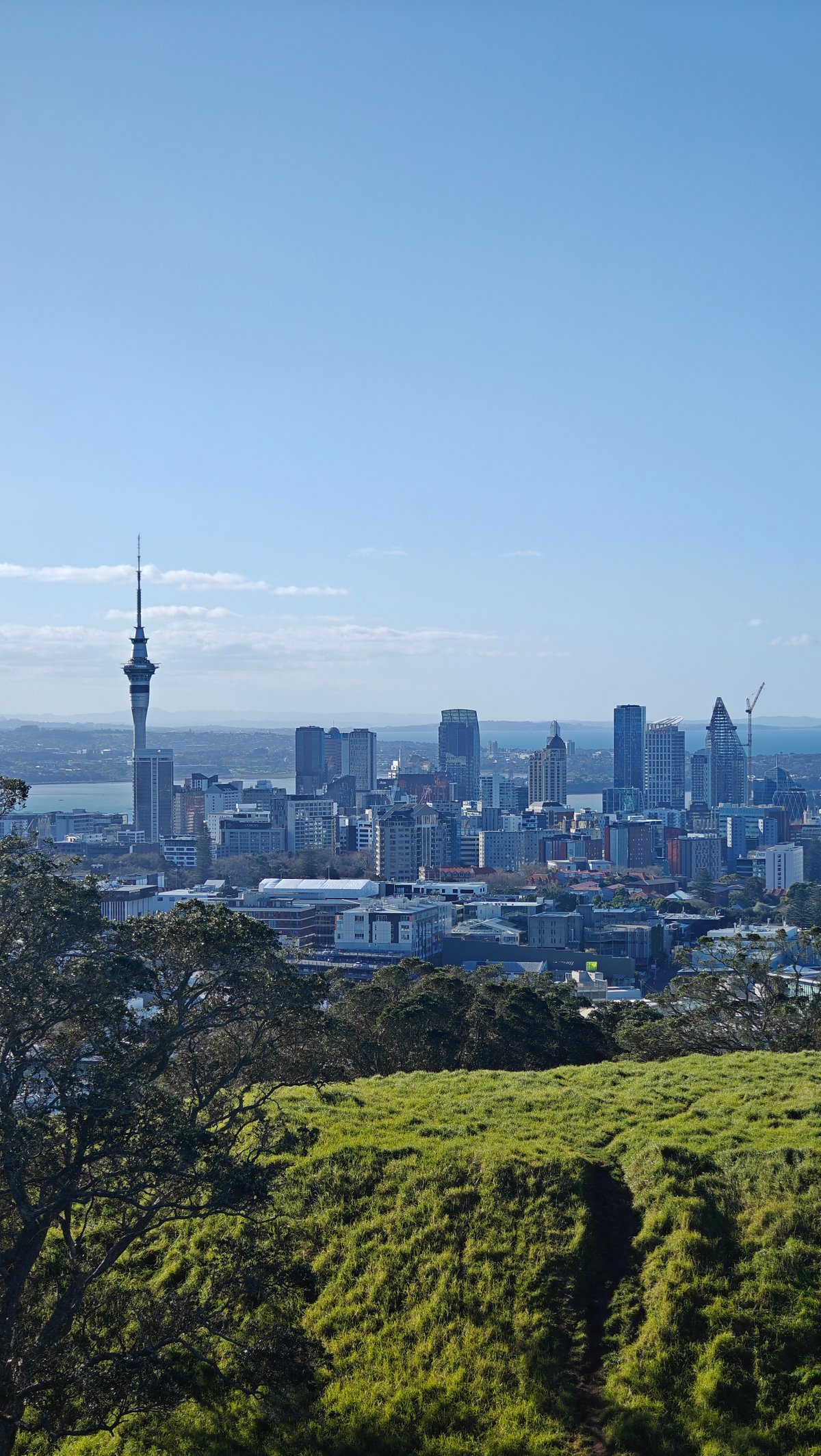 Sky Tower and CBD from summit