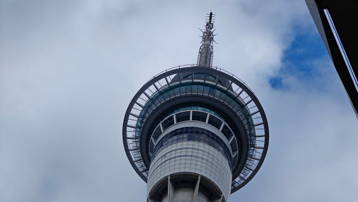 Sky Tower rising from the street