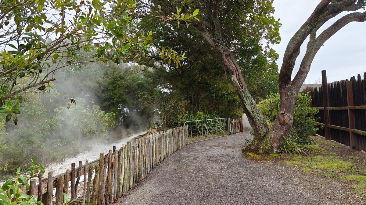 Steam drifting across the path