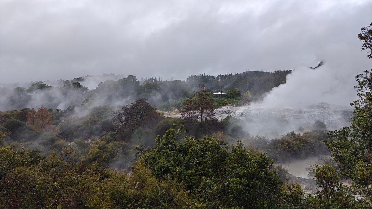 Steam pouring across geyser terrace