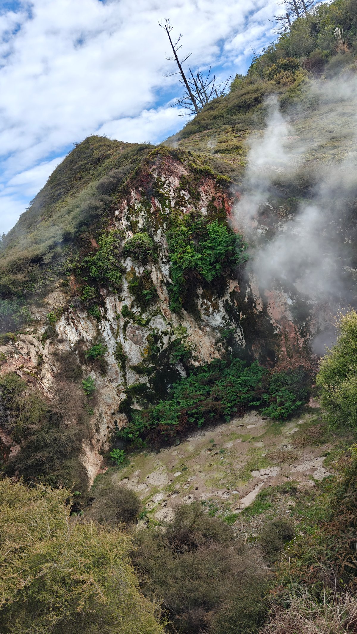 Steam pouring from a crater wall