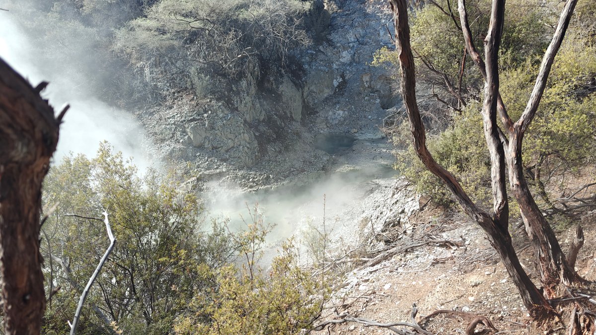 Steam pouring through the bush