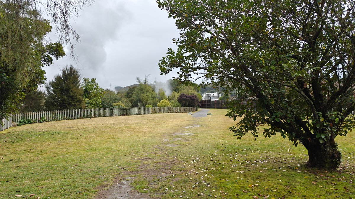 Steam rising beyond the lawn
