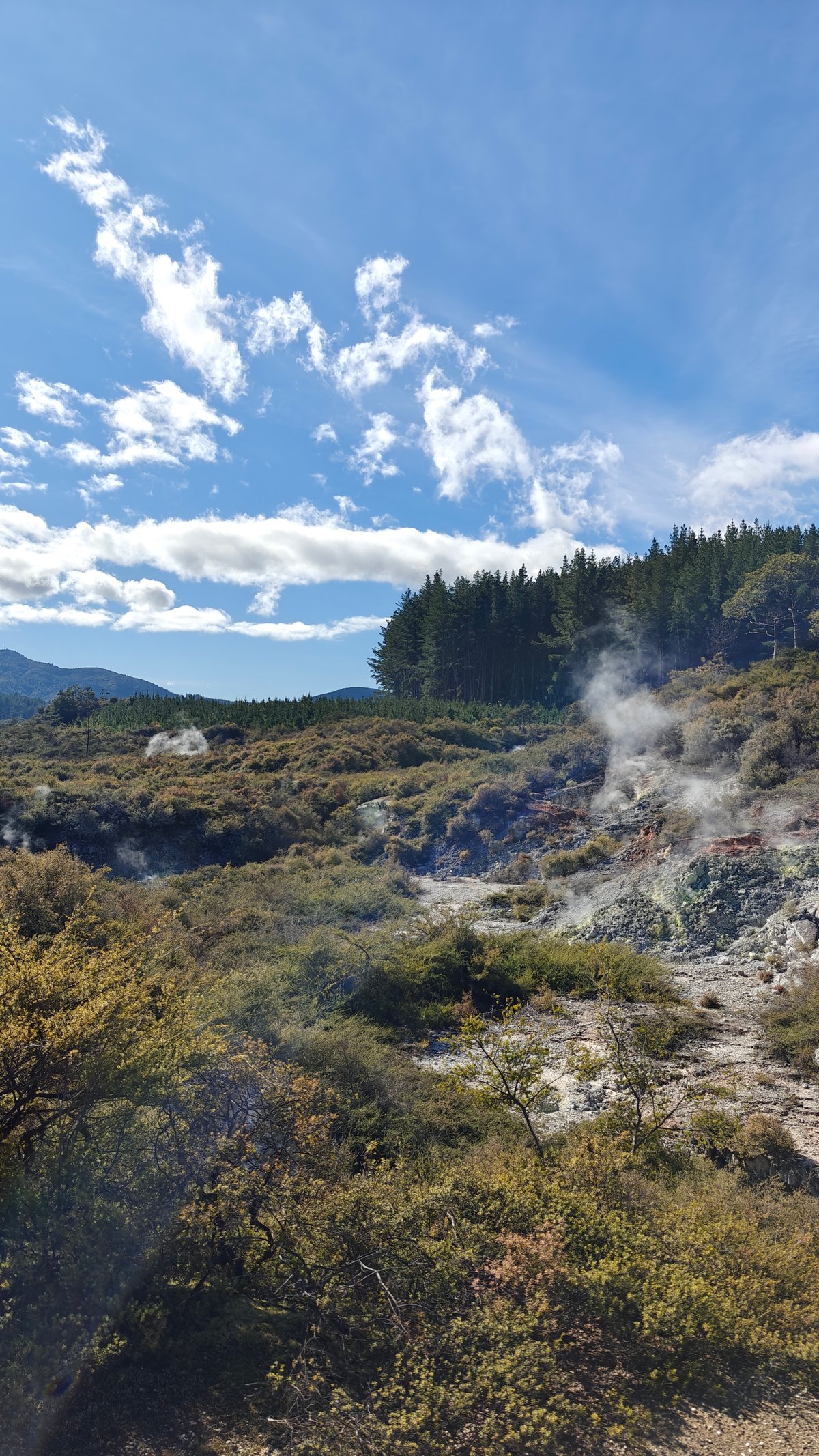 Steam rising through the scrub against the sky.