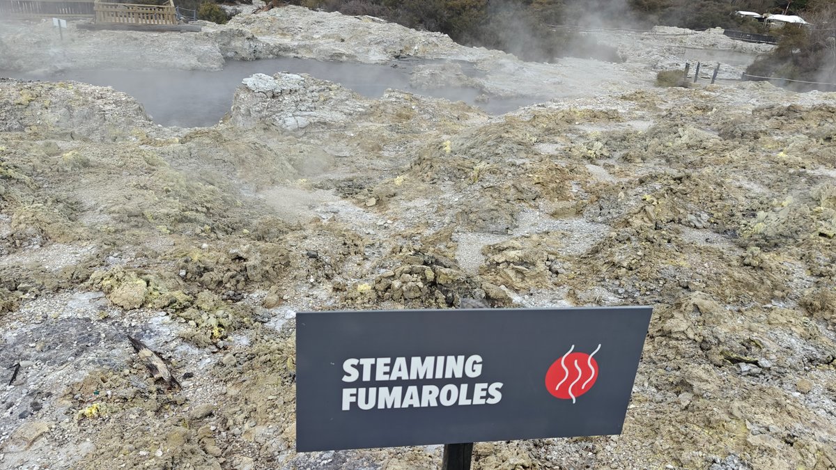 Steaming fumaroles across pale ground