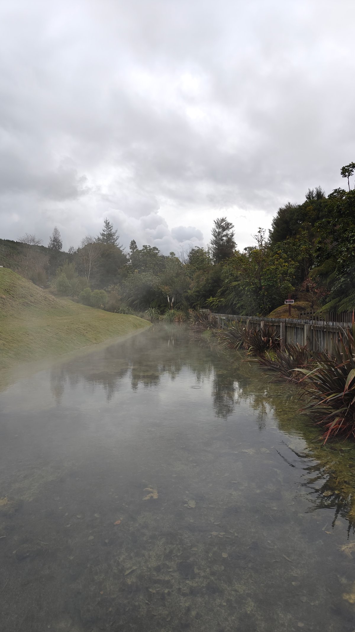 Steaming pool backed by bush
