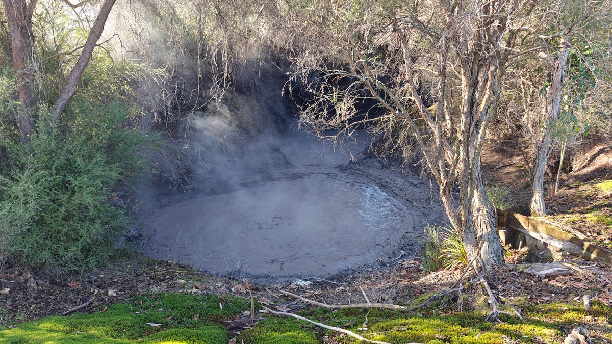 Steaming pool ringed by trees