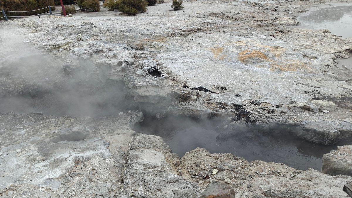 Steaming sinter ground vent