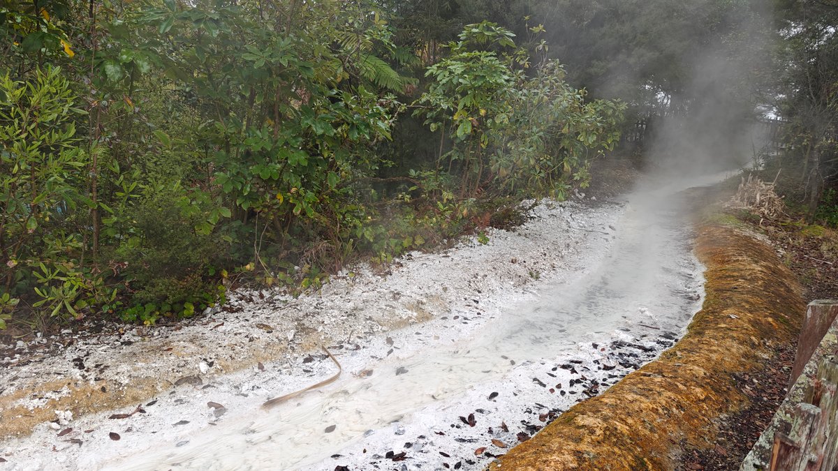 Steaming stream beside the path