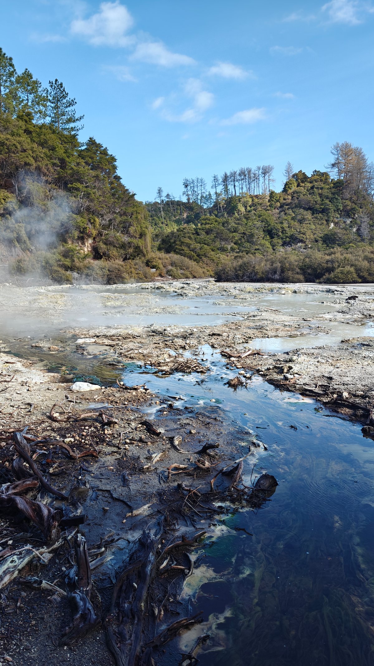 Steaming stream through pale sinter