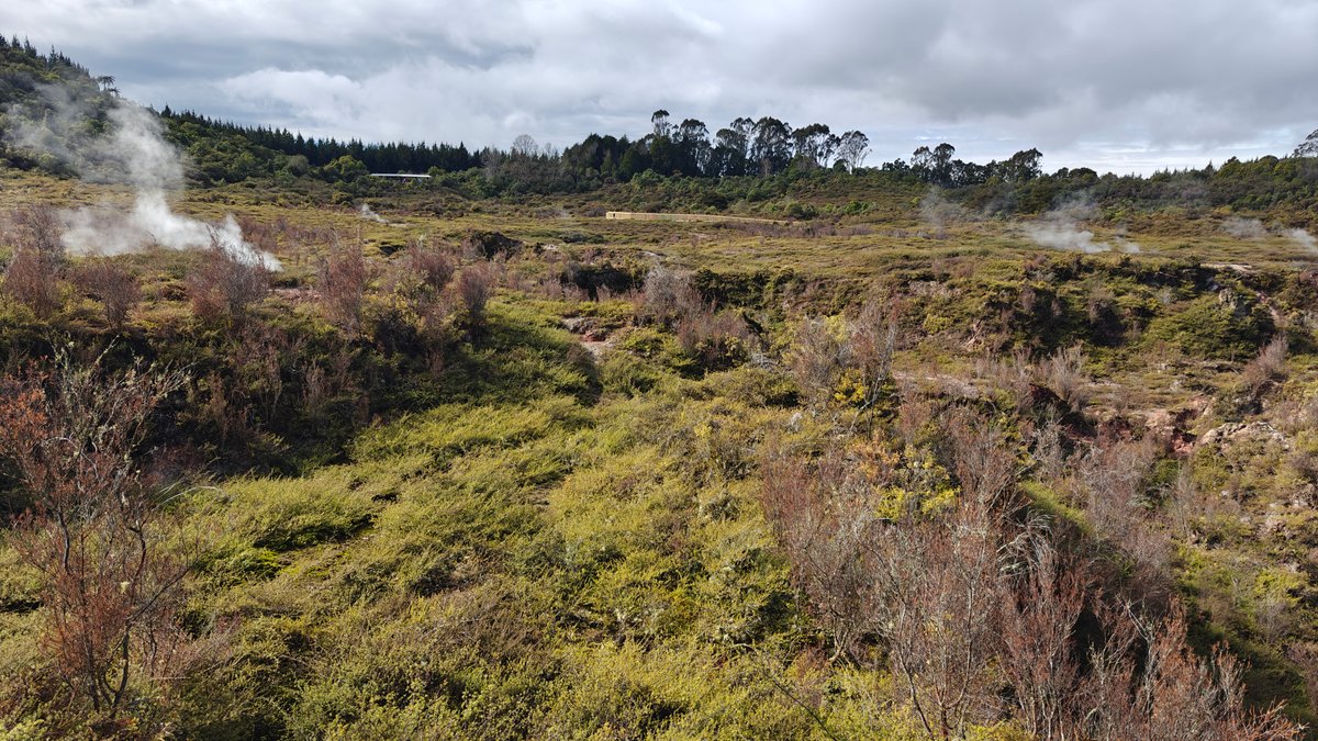 Steaming vents in the scrub with trees on