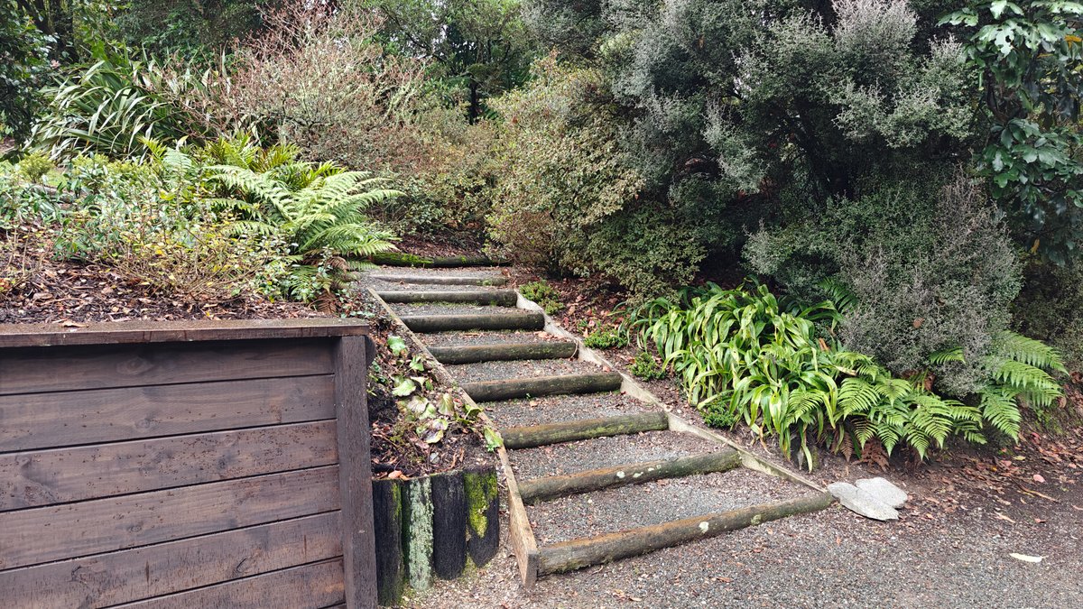 Steps climbing from the timber retaining wall up