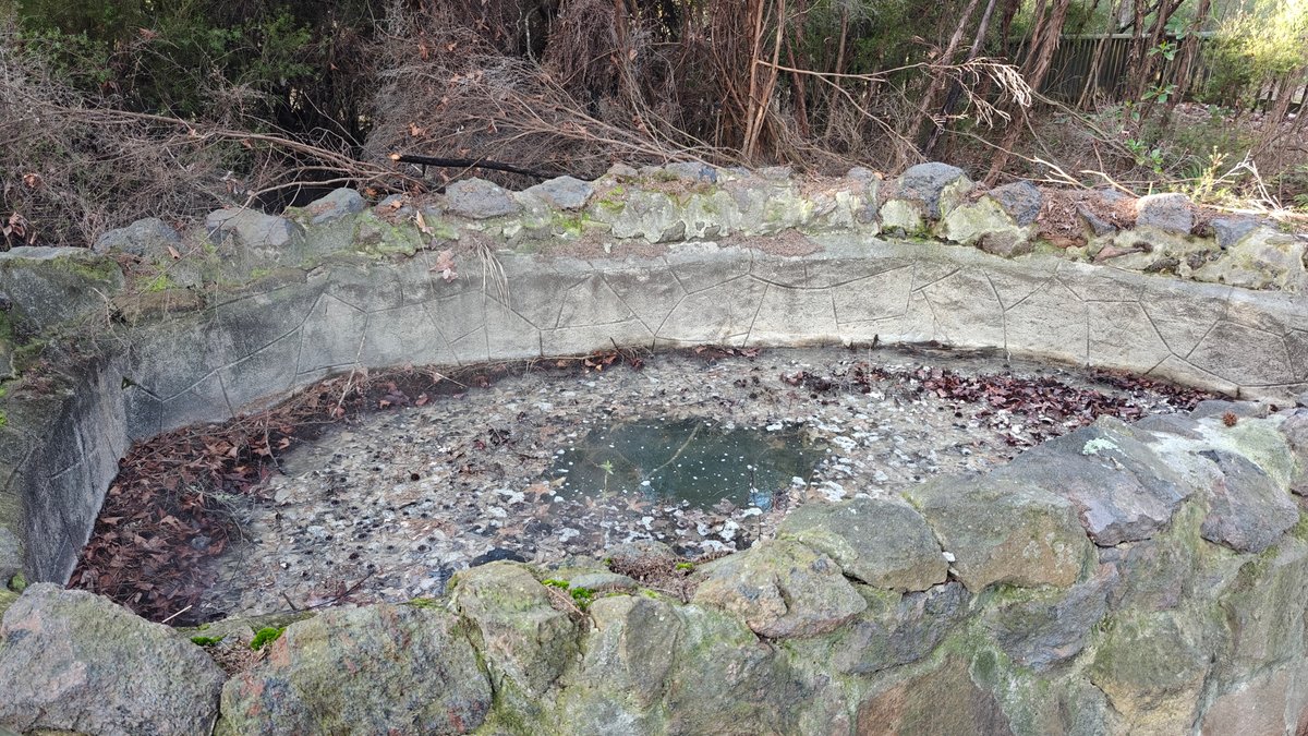 Stone-rimmed pool rising steam