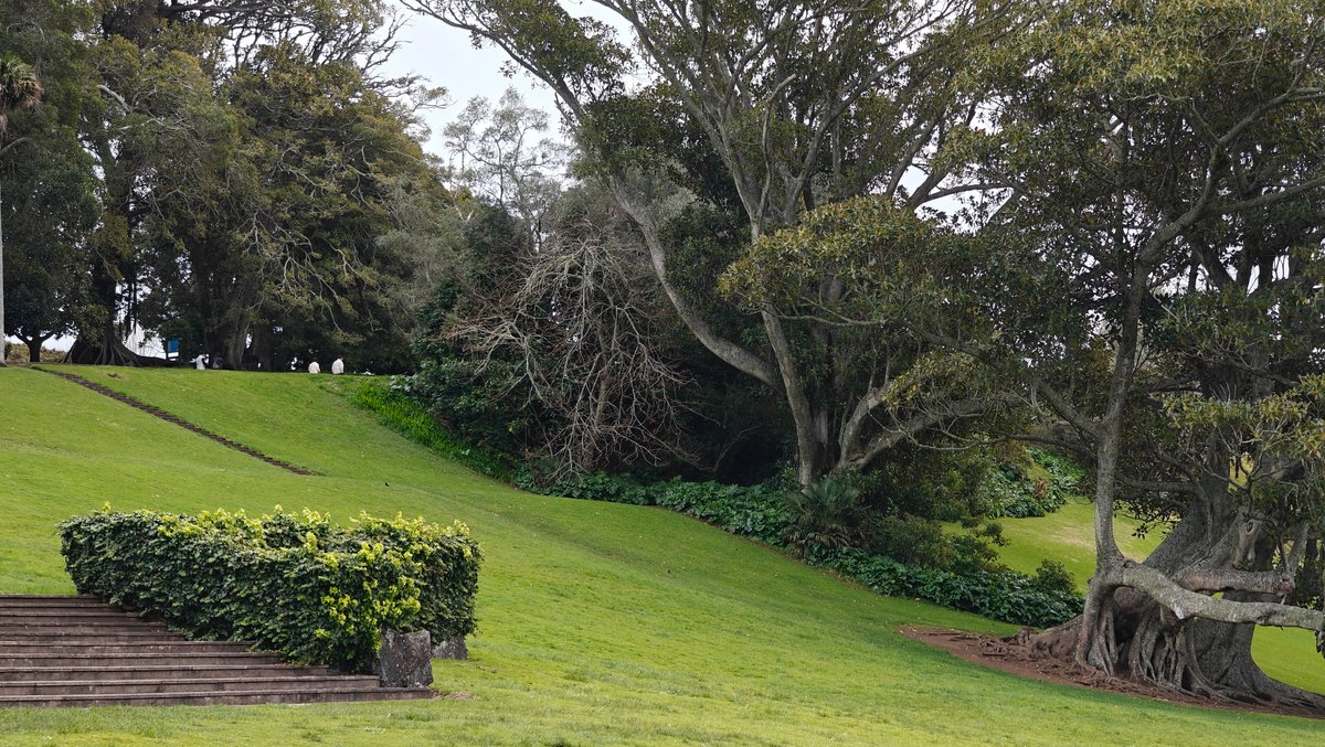 Stone steps and clipped hedges climbing the slope.