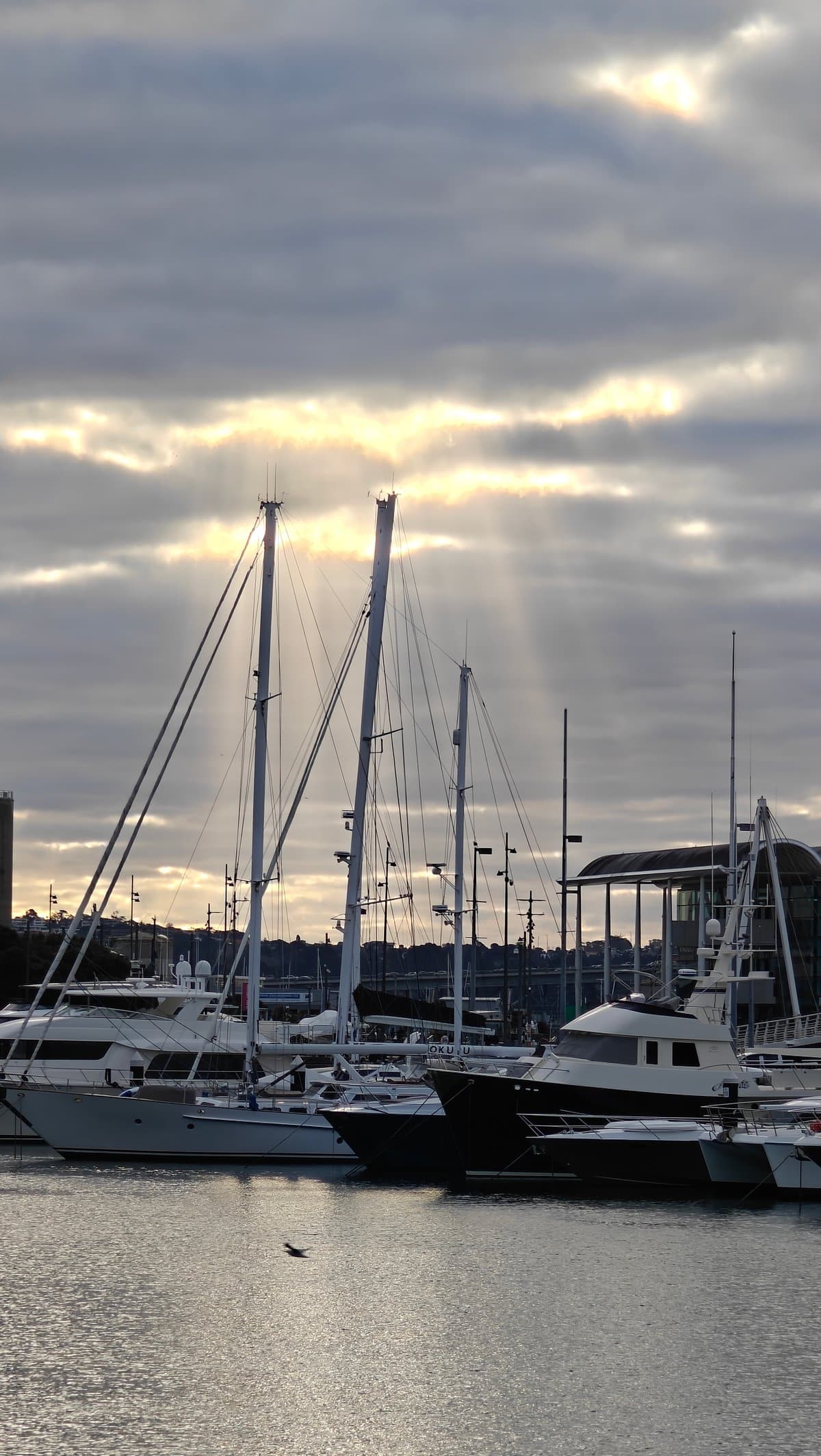 Sun rays over the marina masts