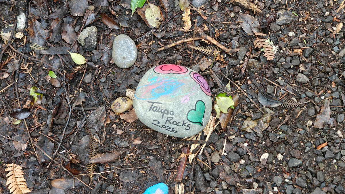 Taupo Rocks pebble among leaf litter