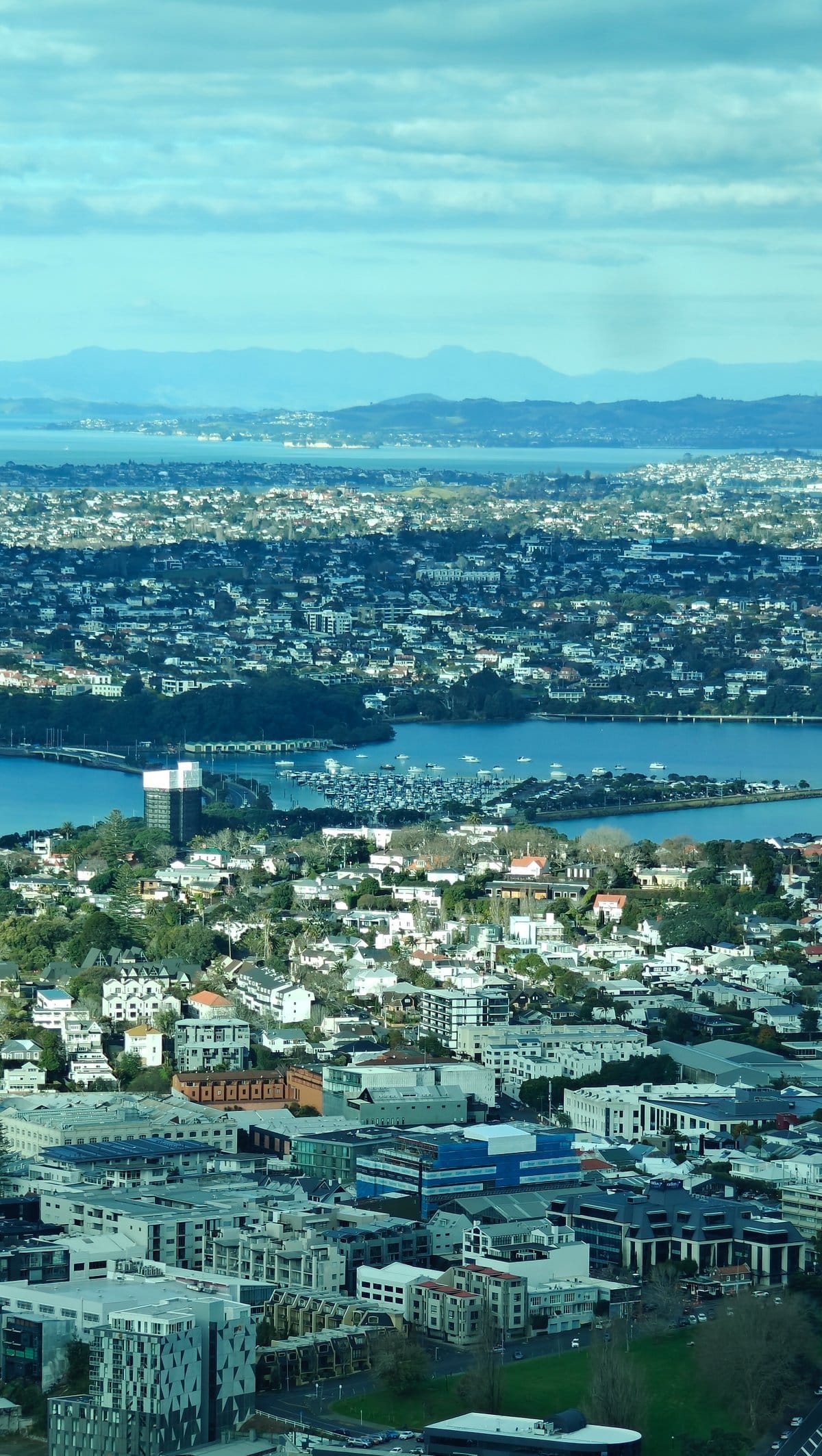 The eastern suburbs running down to the water.