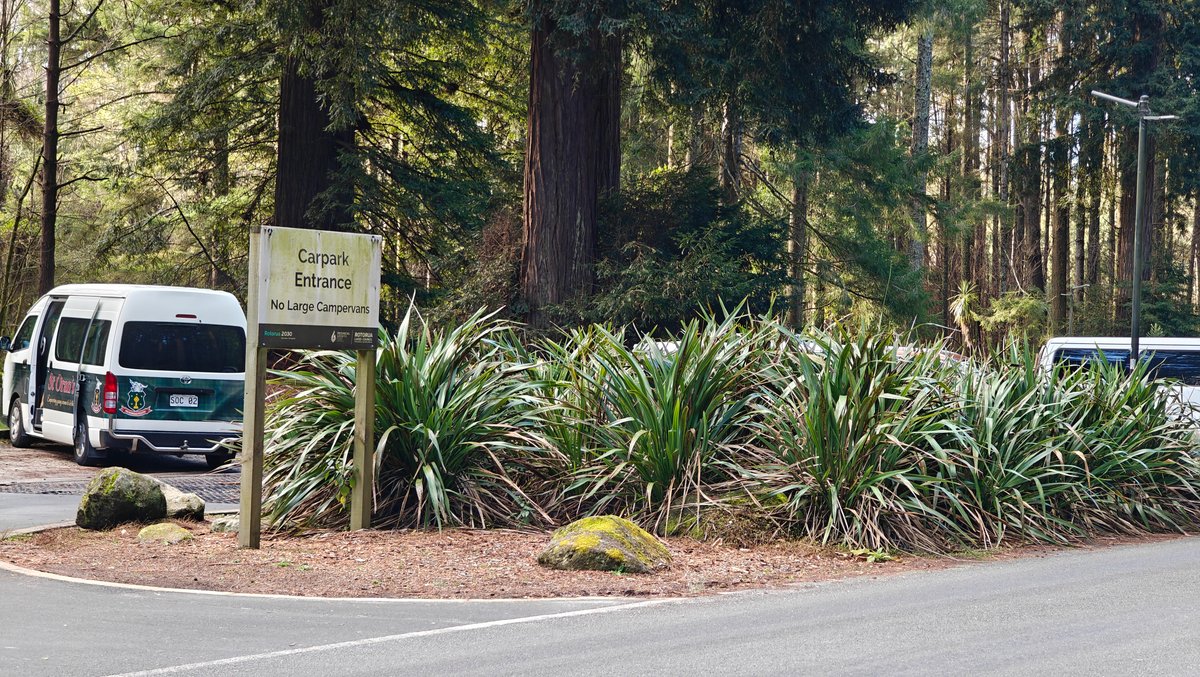 The forest entrance from the road with a