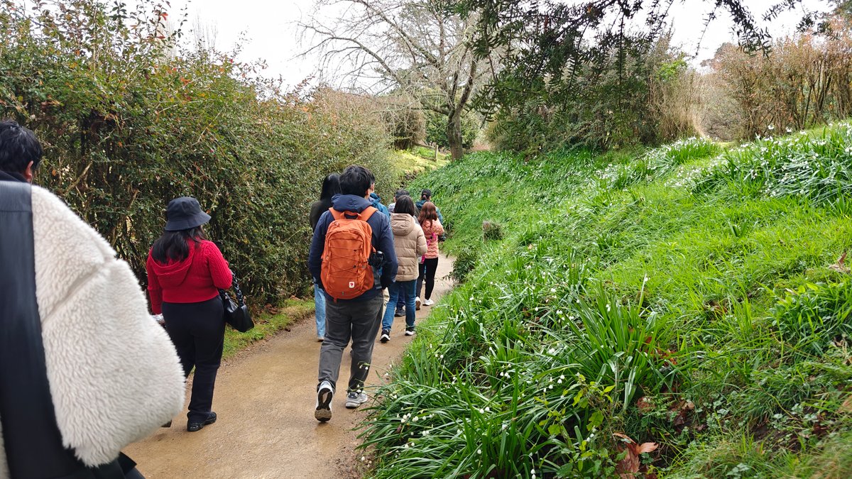 The group walking up the track between the