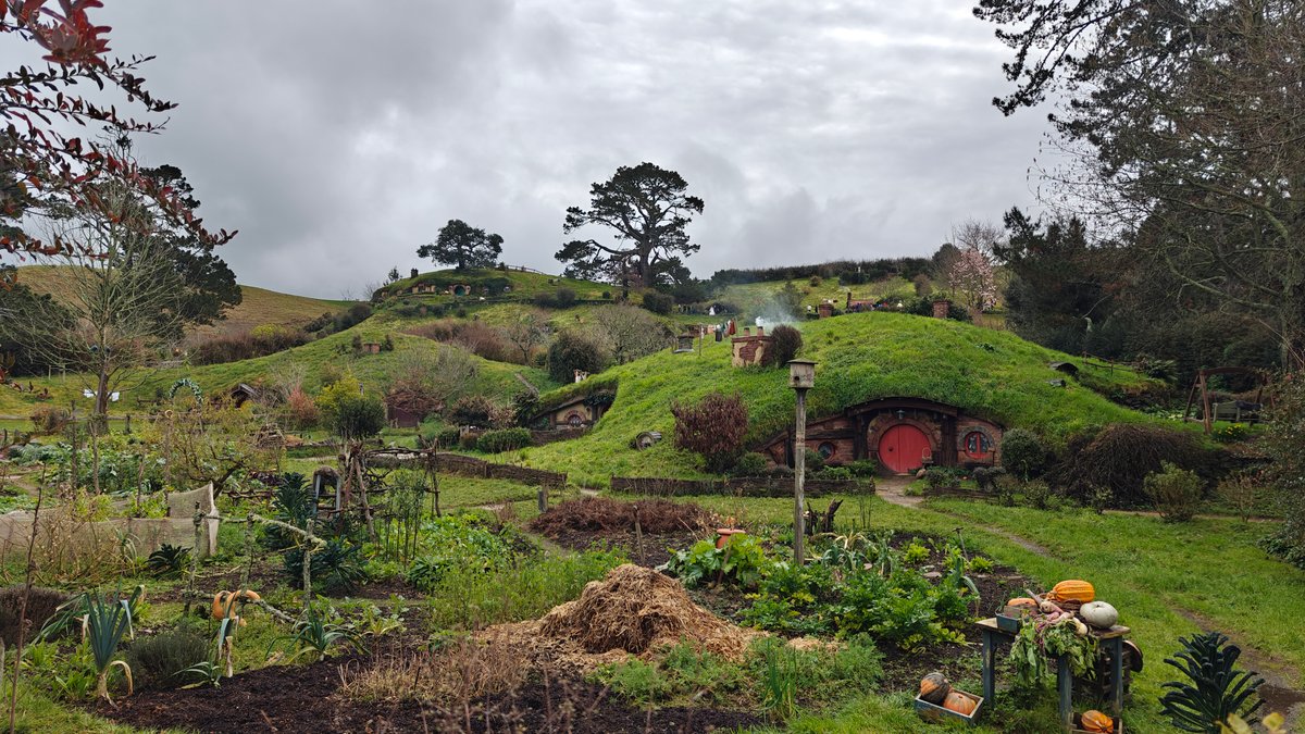 The hillside with hobbit holes set above the