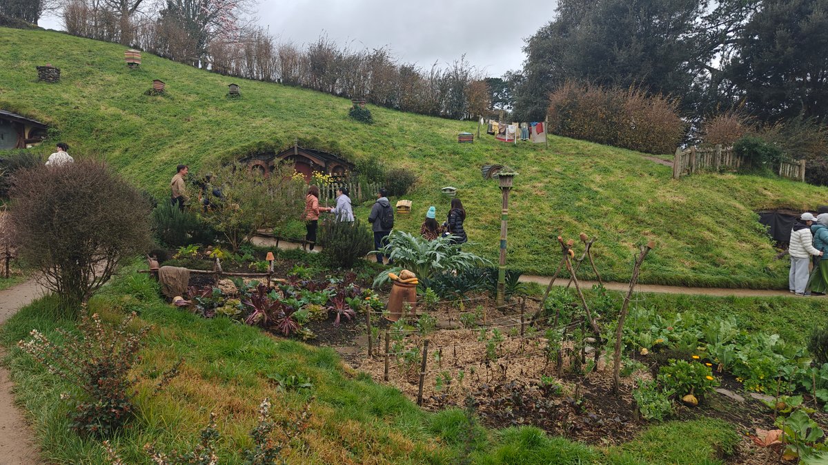 The hillside with the gardens laid out and
