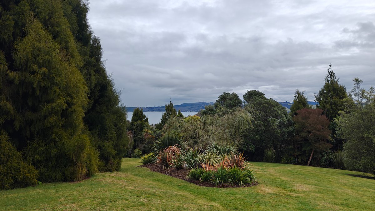 The lawn with island beds and the lake