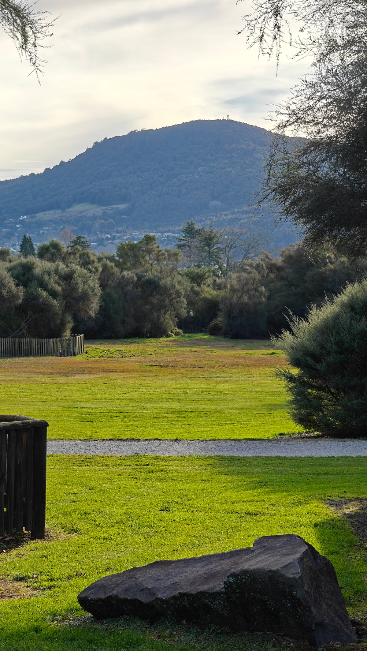 The park looking across to the hill with