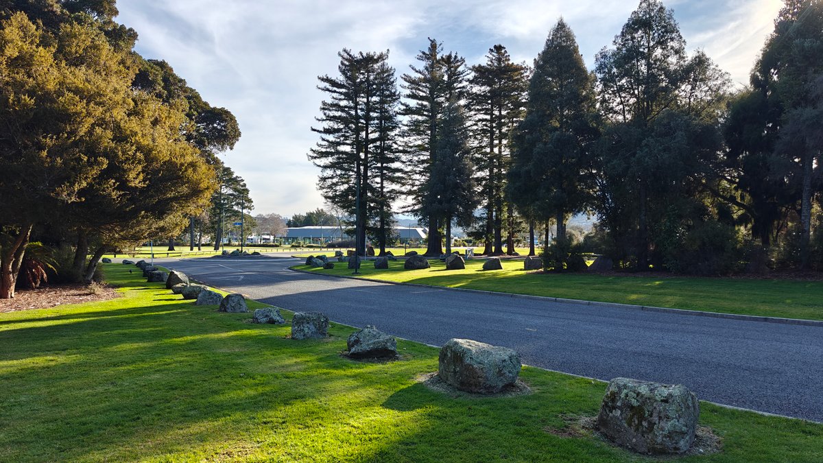 The park road lined with boulders and tall