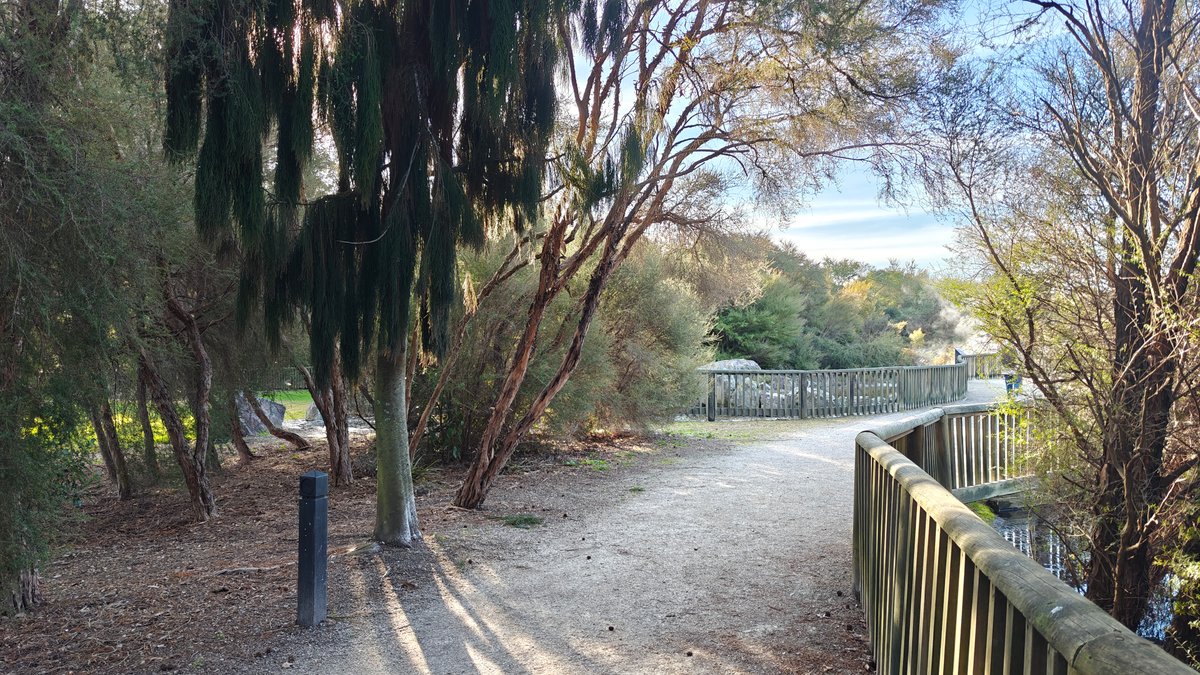 The path running beside the fence under weeping