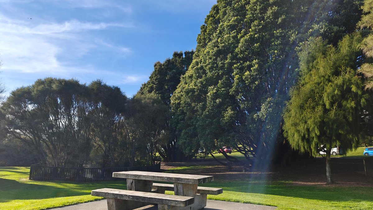 The picnic area with the tree and open