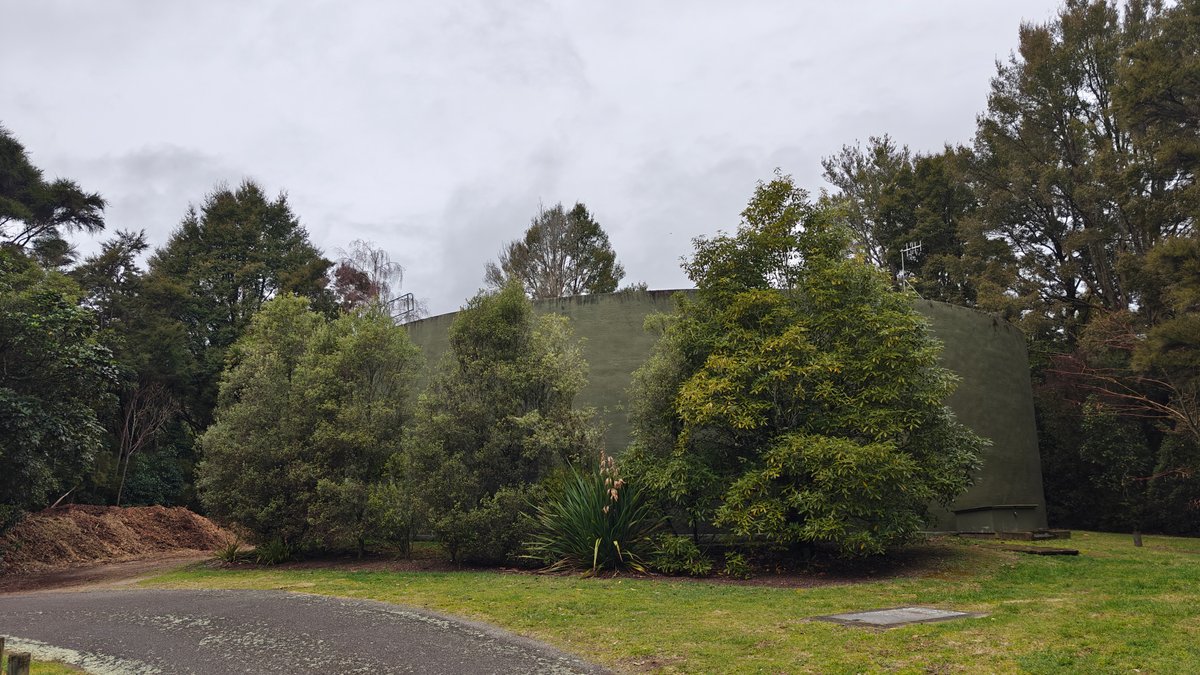 The reserve road with lawn and shrub beds