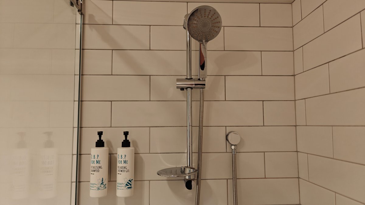 The shower with its rail, handset and wall