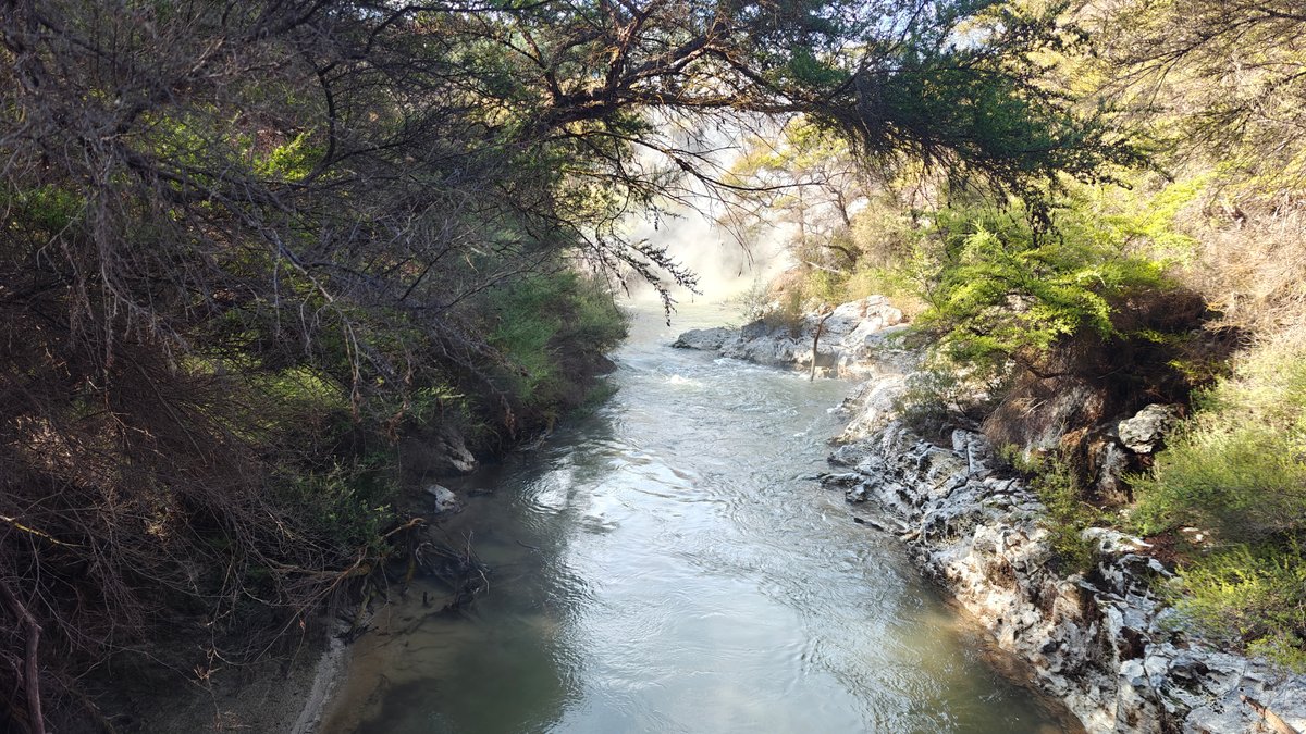 The stream running through the bush between rocky