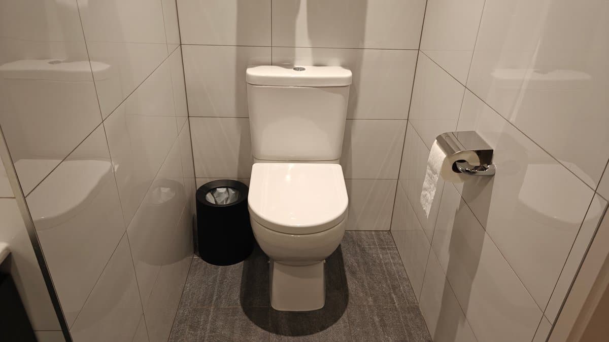 The toilet with a bin and paper holder