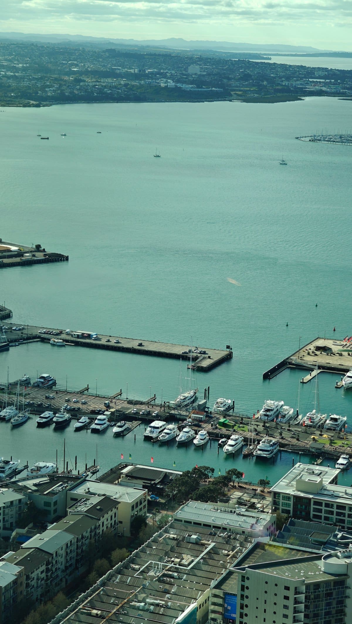 The wharves and marina with launches packed into