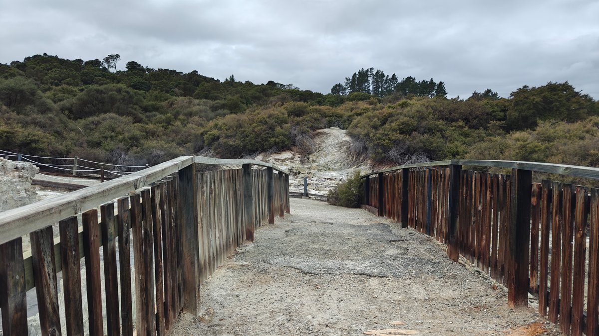Timber boardwalk across the reserve